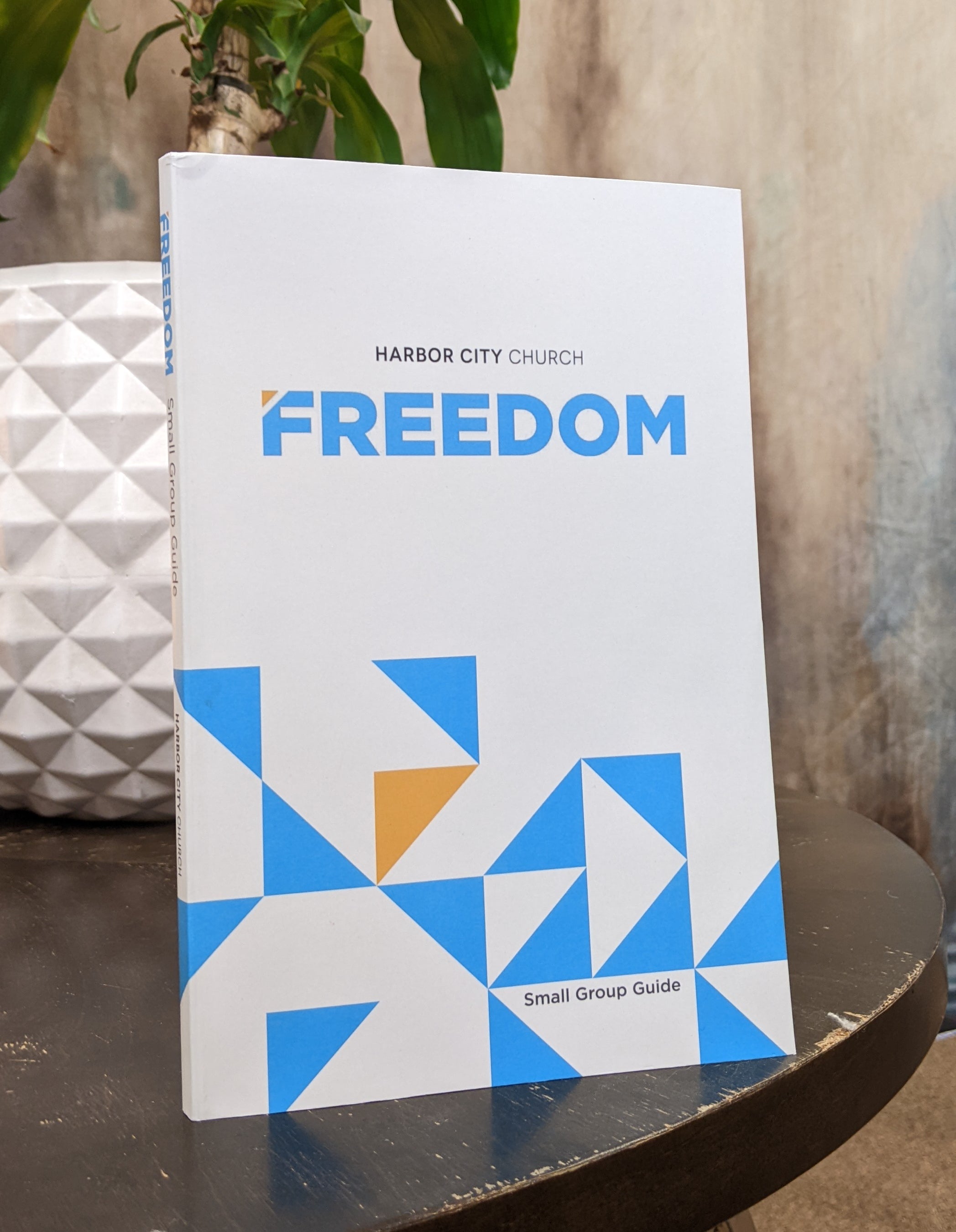 Freedom Small Group Guide – Harbor City Church Store